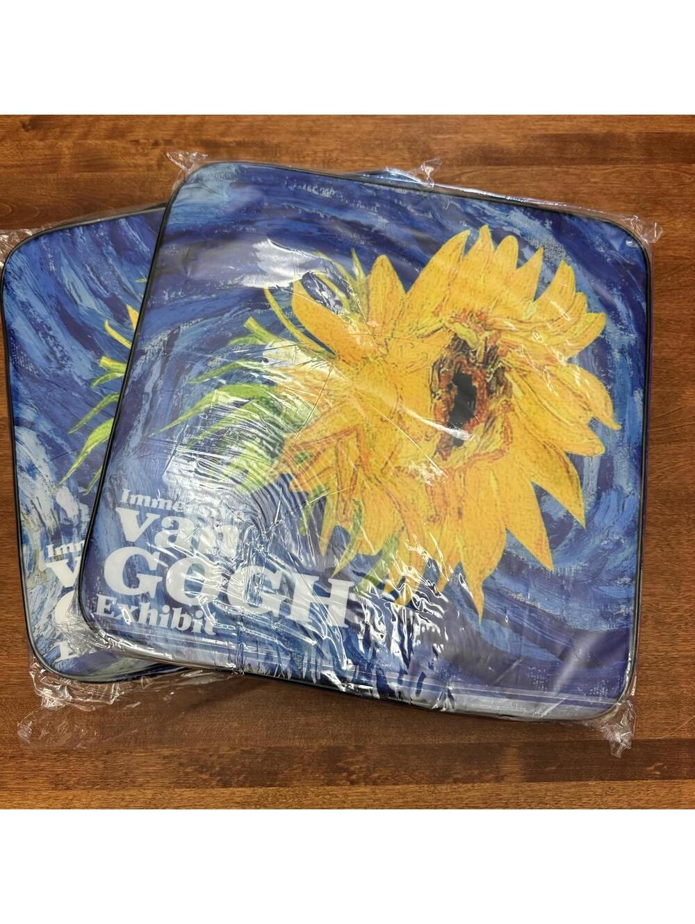 NEW! Immersive Van Goph, Seat Cushions, Set of 2